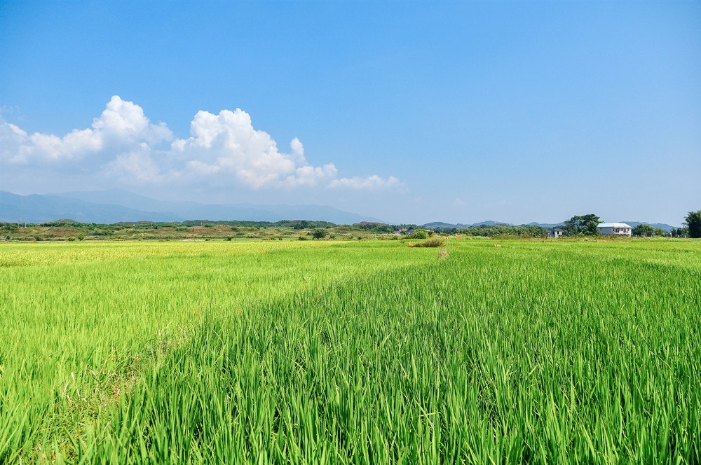 北京市农业农村局：走进田间地头指导灾后生产